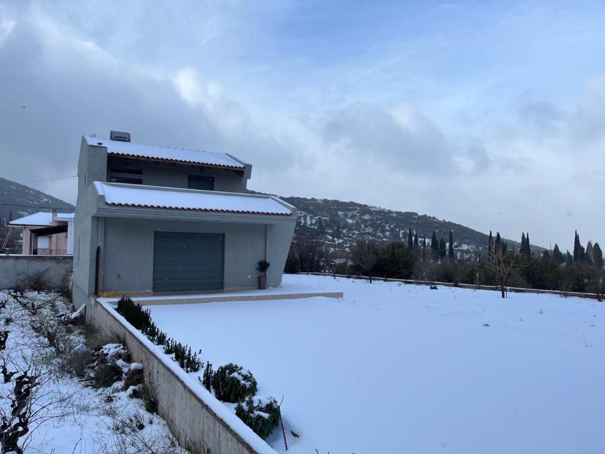 Stellas Guesthouse Near Arachova Stirion Екстер'єр фото