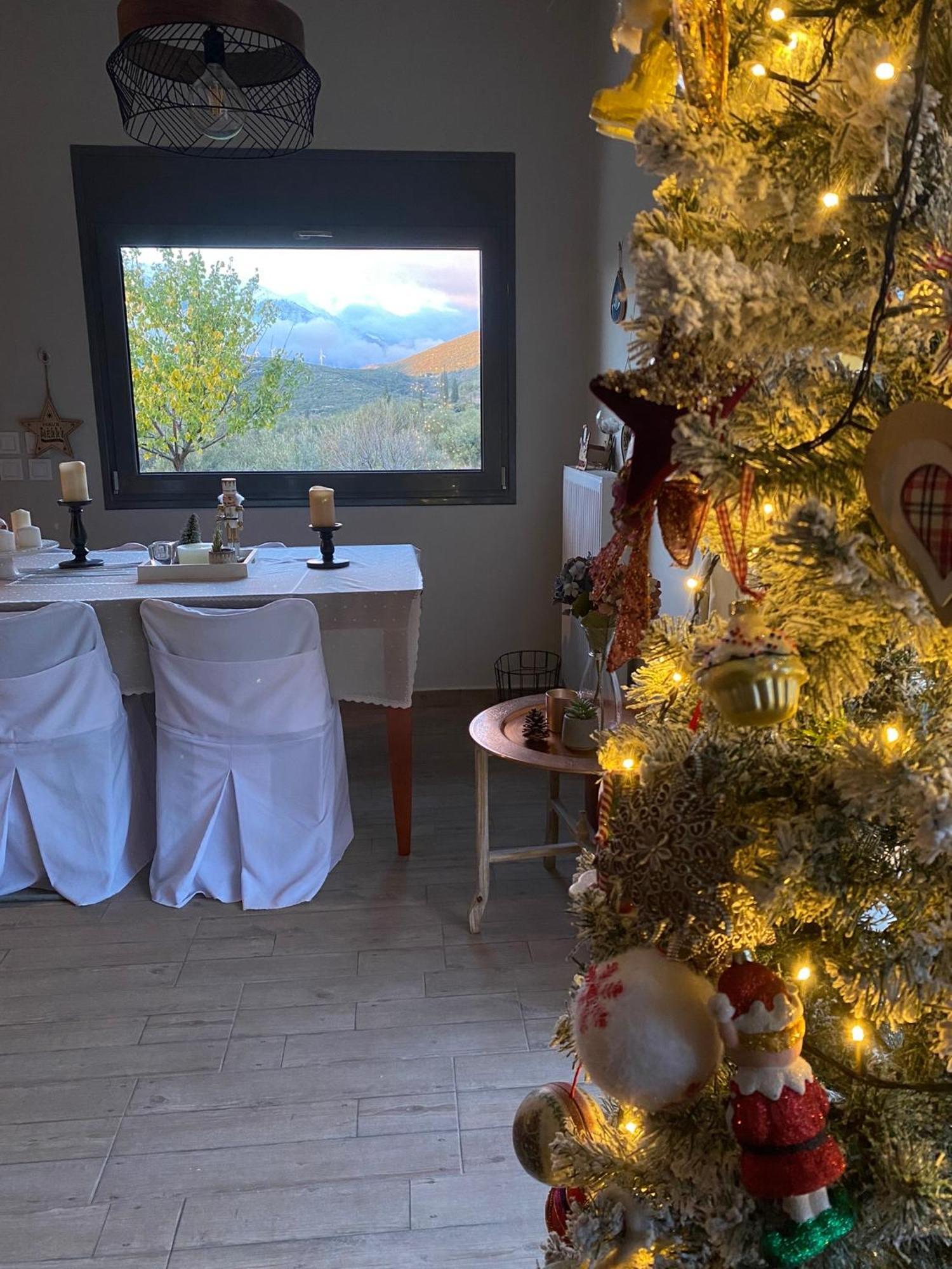 Stellas Guesthouse Near Arachova Stirion Екстер'єр фото