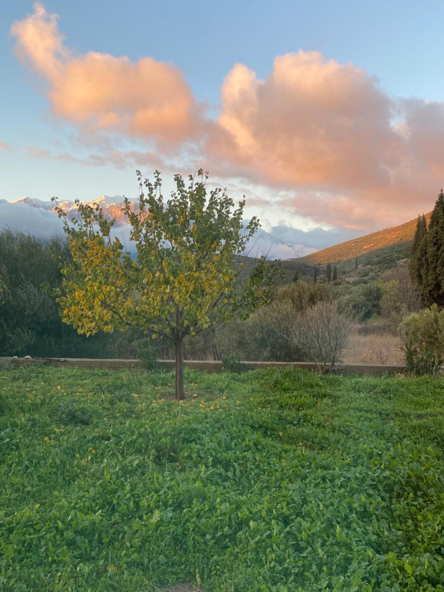 Stellas Guesthouse Near Arachova Stirion Екстер'єр фото